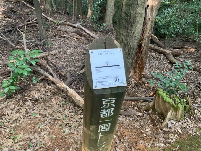 京都一周トレイル西山コース40番
