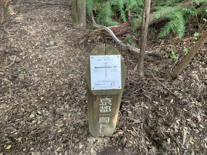 京都一周トレイル西山コース42番