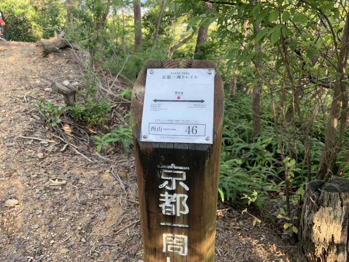 京都一周トレイル西山コース46番
