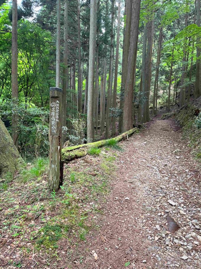 大尾山登山口の案内板