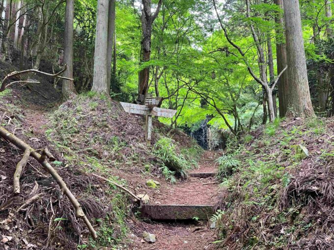 大尾山・滝方面 分岐