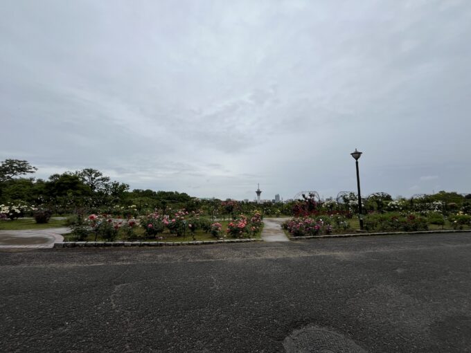 バラ園からのいのちの塔