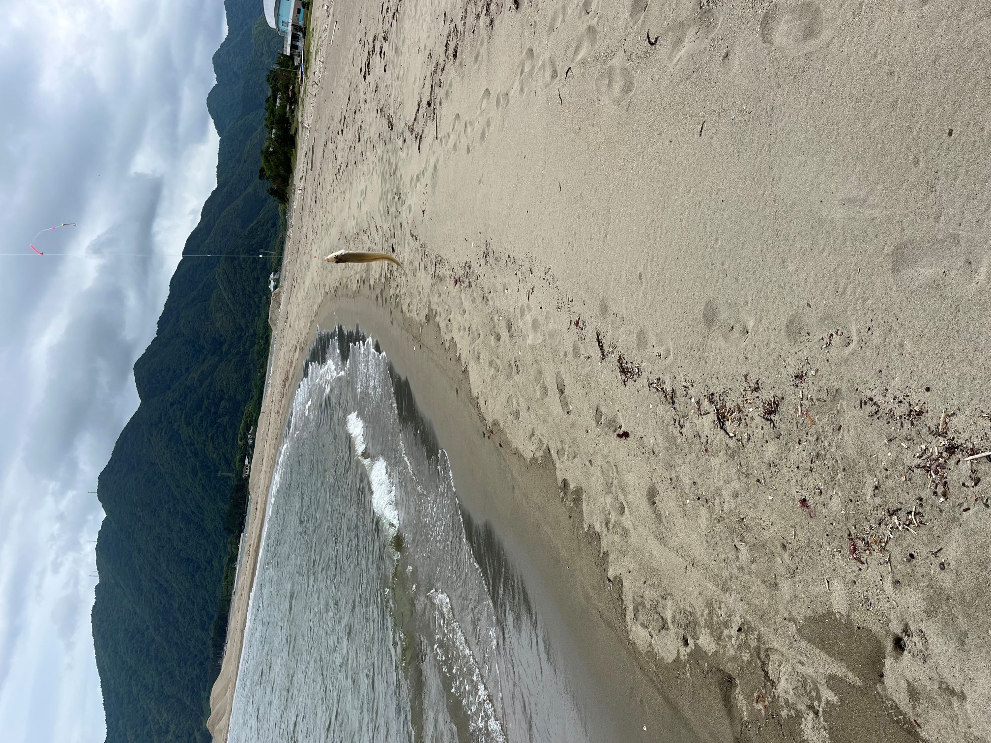 釣れた瞬間