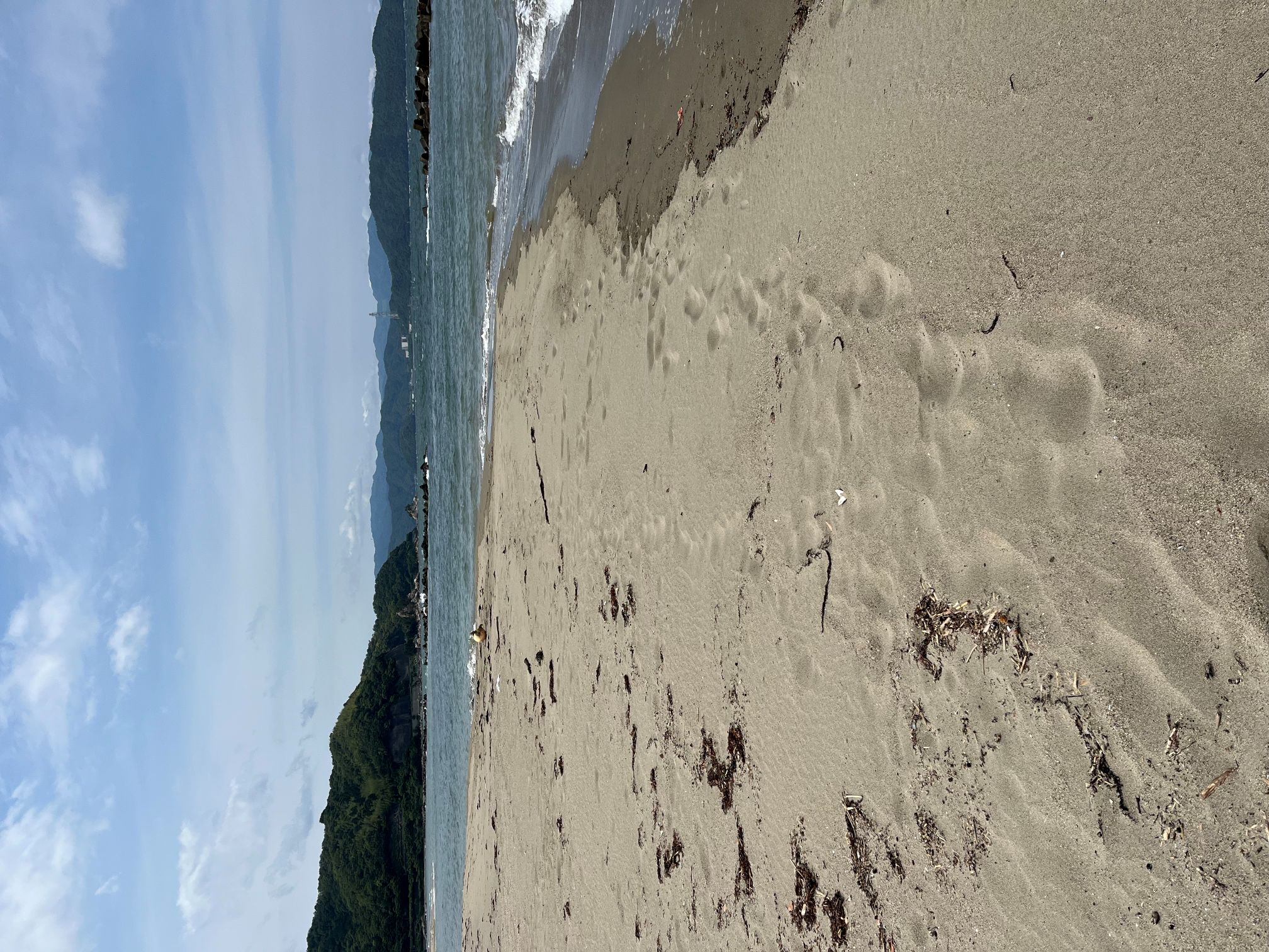 貸切状態の浜
