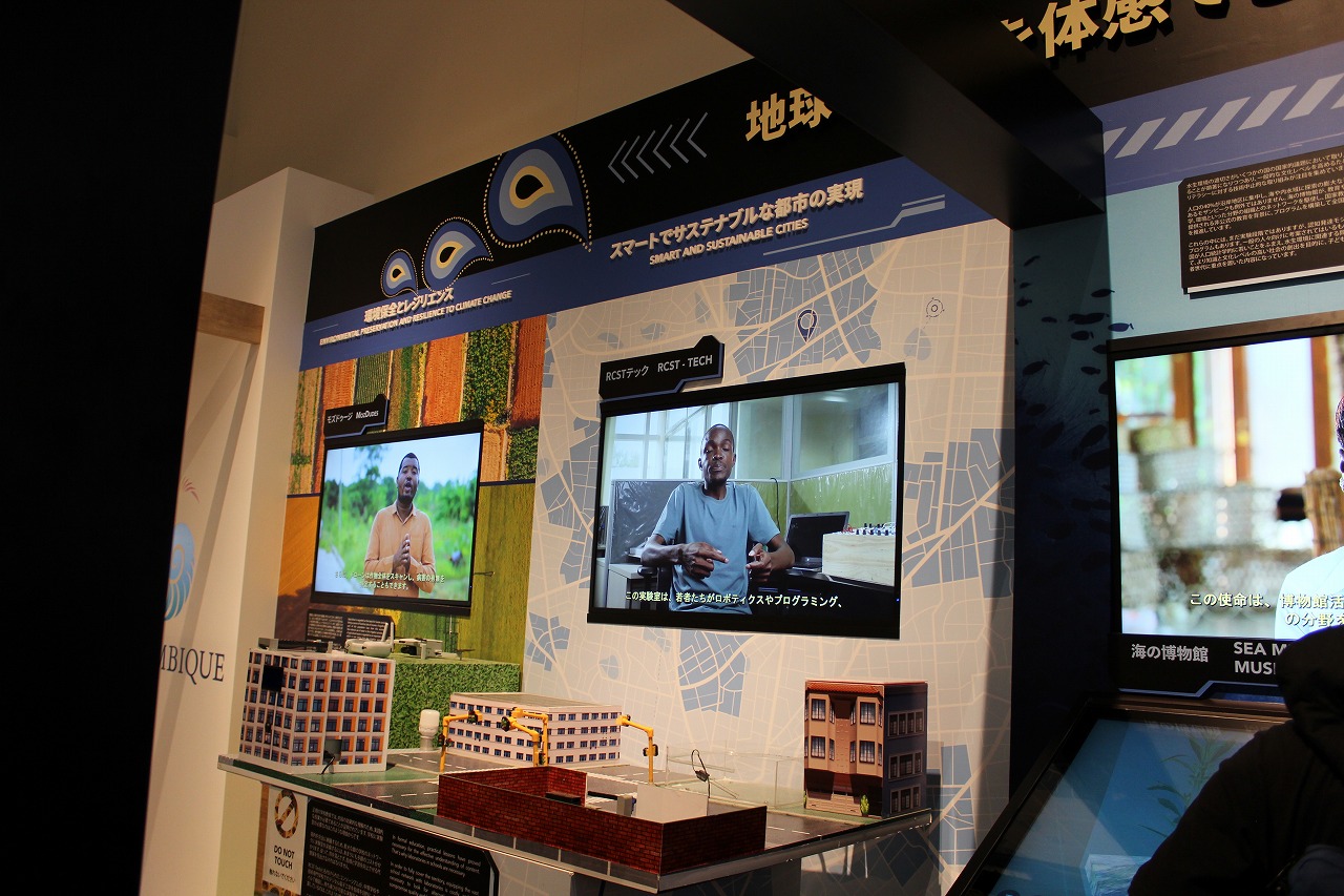 IT系展示