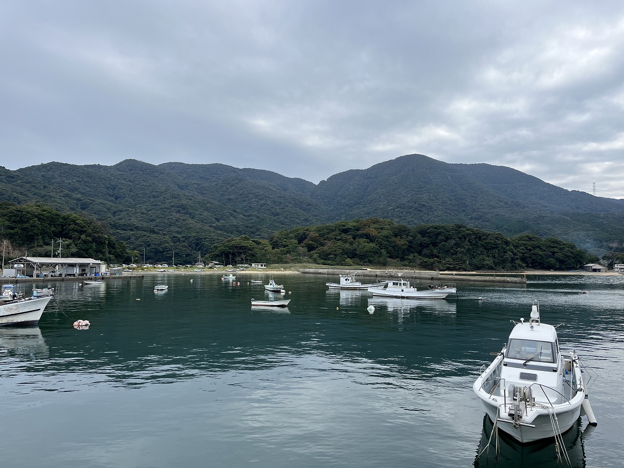 堤防内側の様子